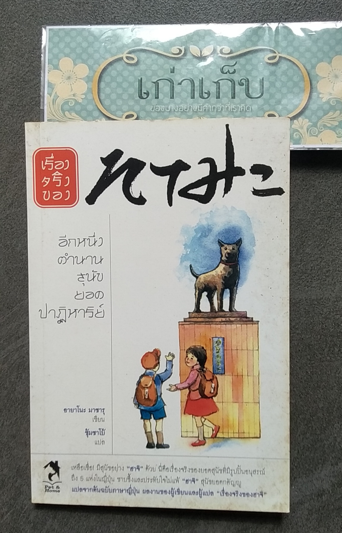 ทามะ