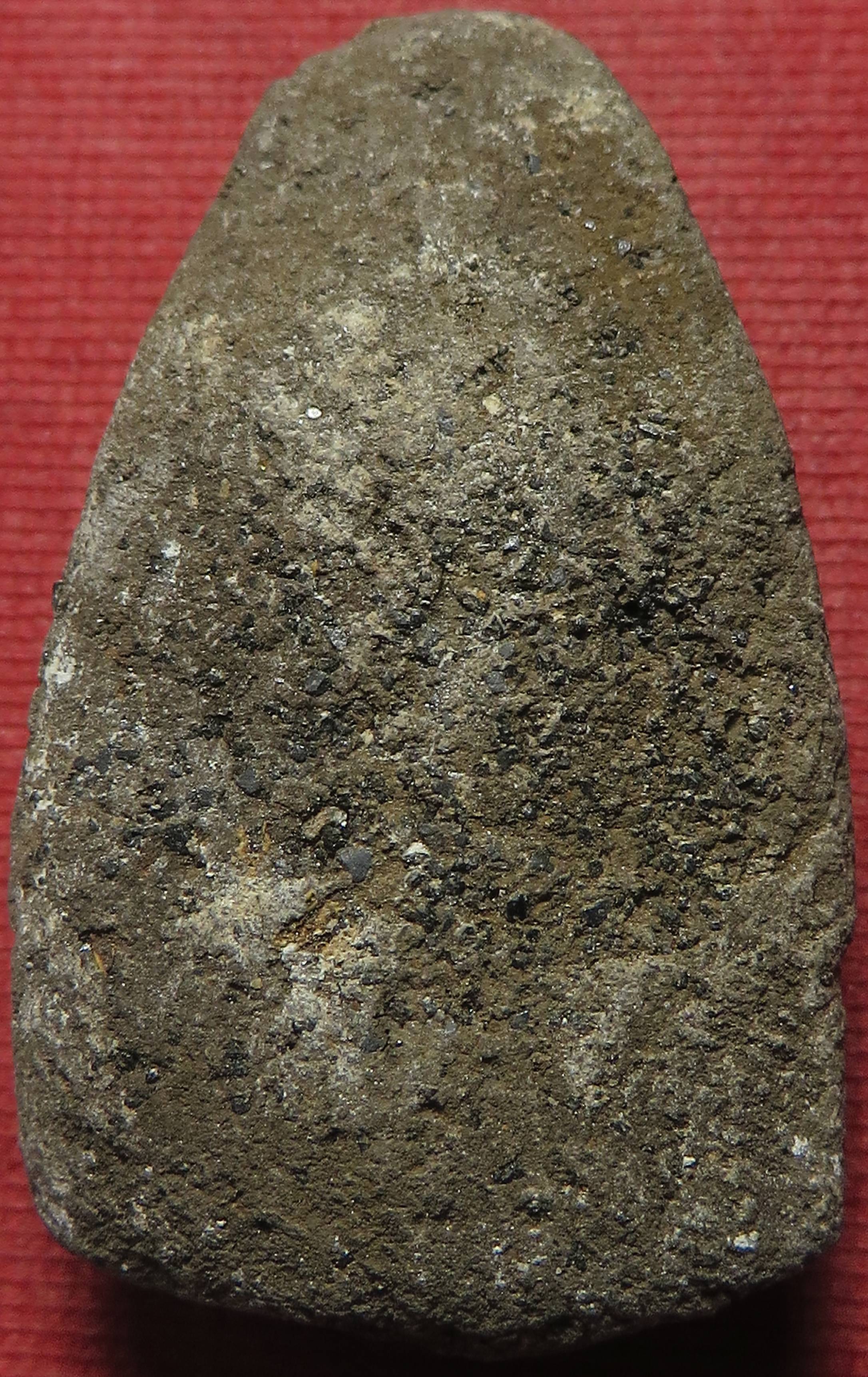 879 (2) หลวงปู่ทวด วัดช้างให้ จังหวัดปัตตานี เนื้อผงว่าน โรยแร่ เกจิอาจารย์ยุคเก่า (รับประกันพระแท้ + จัดส่งฟรีทั่วประเทศ)