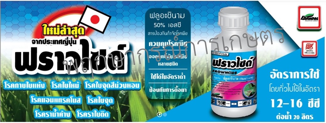 ฟราวไซด์ 500 ซีซี