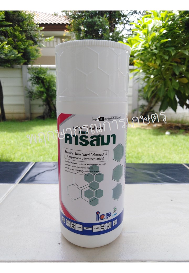 คาริสมา 500 ซีซี