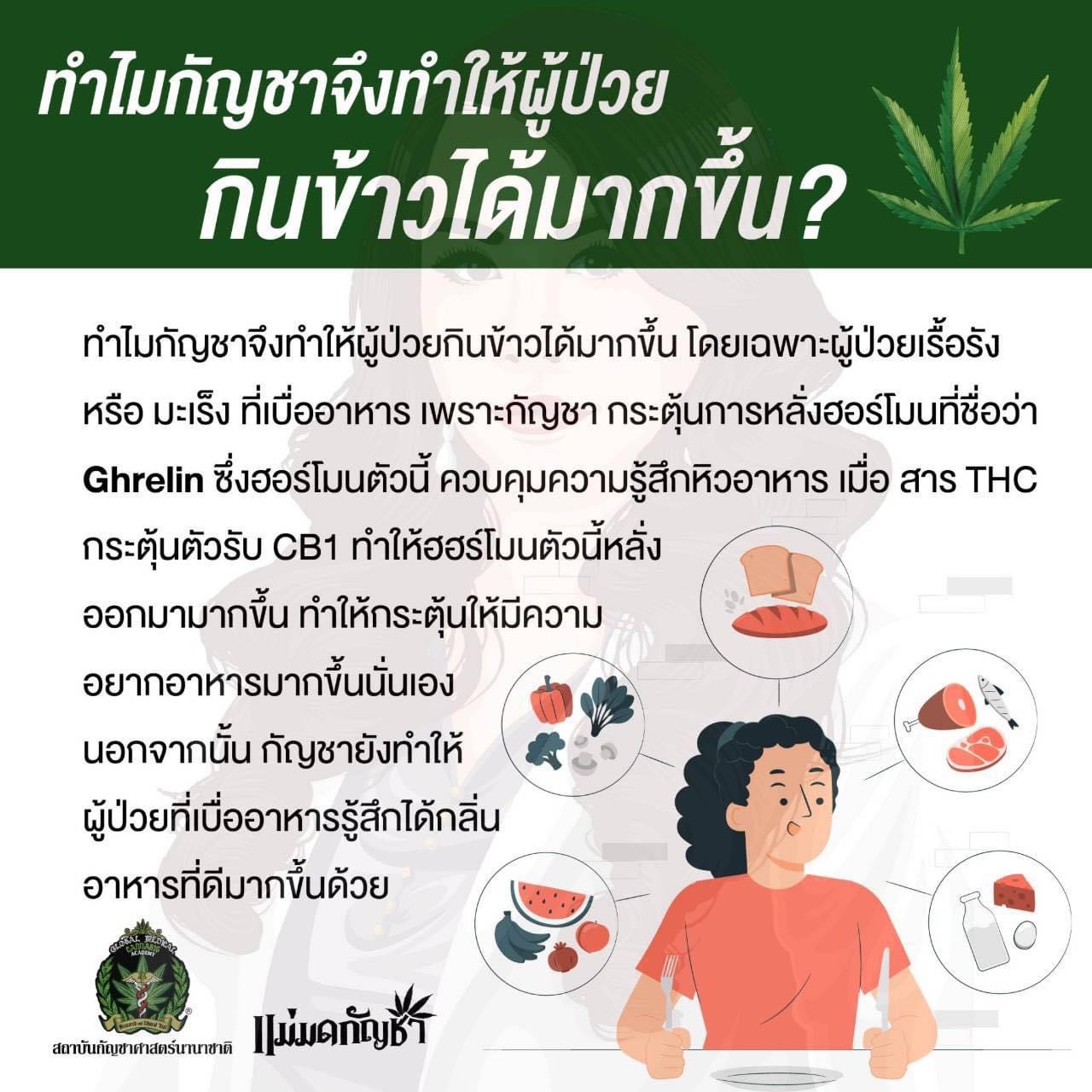 (พร้อมส่งในไทย) น้ำมันกัญชา Dr.Bliss 200 mg. 5ml.