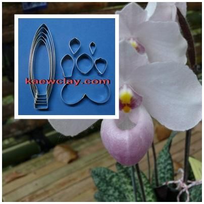 พิมพ์ตัดอก+ใบรองเท้านารี เดเลนาติไอ ( Aluminum mold cutter Paphiopedilum delenatii)