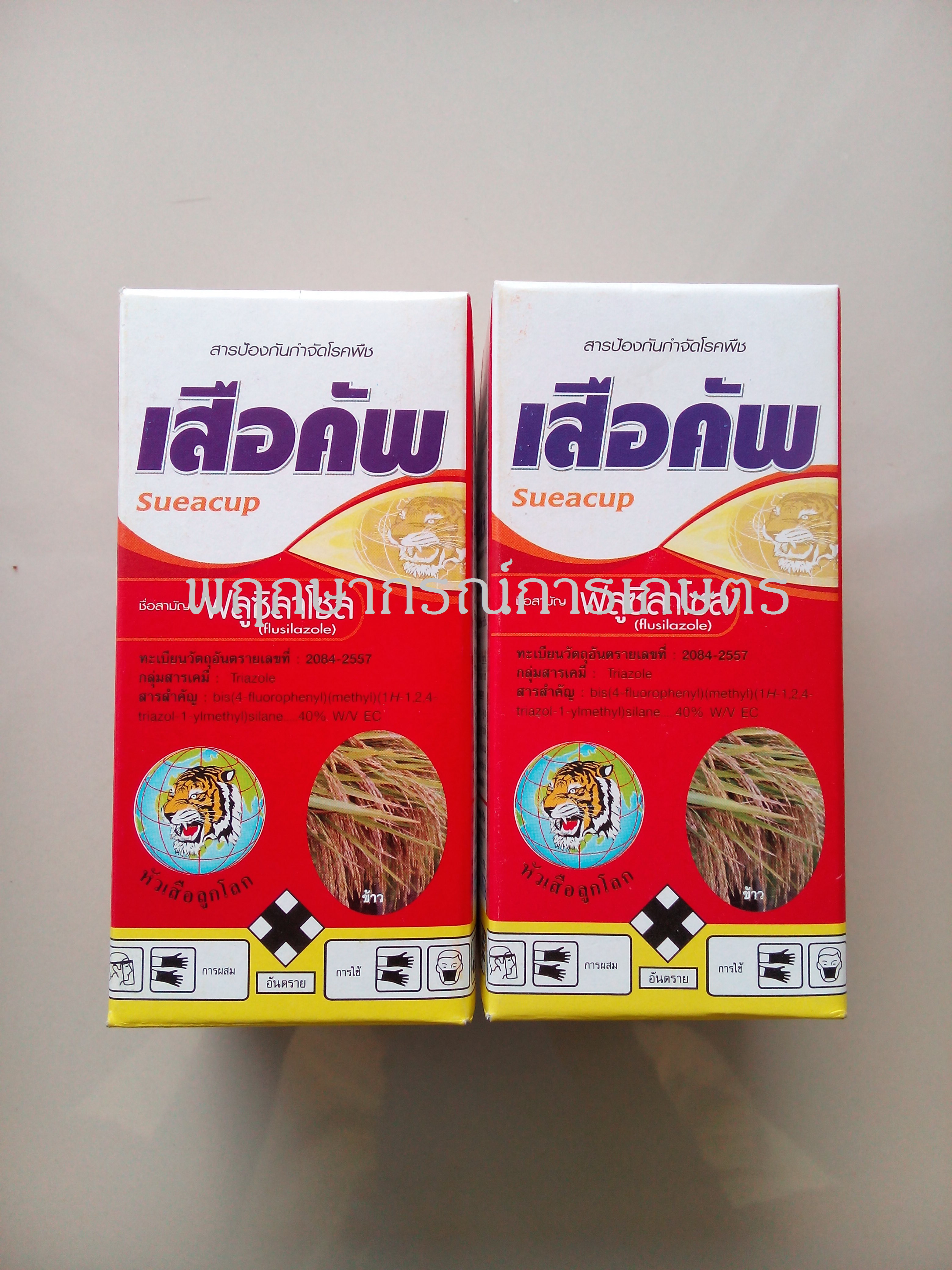 เสือคัพ