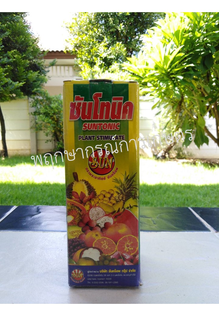 ซันโทนิค 500 ซีซี