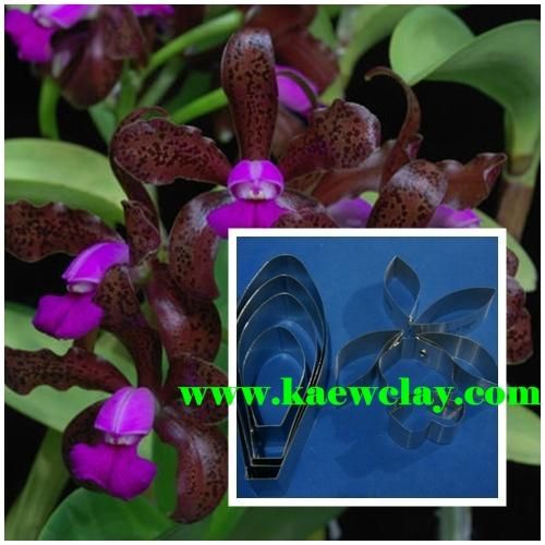 พิมพ์ตัดดอกกล้วยไม้แคทลียาลีโอพอลดี้(Aluminum mold cutter Cattleya leopoldii )