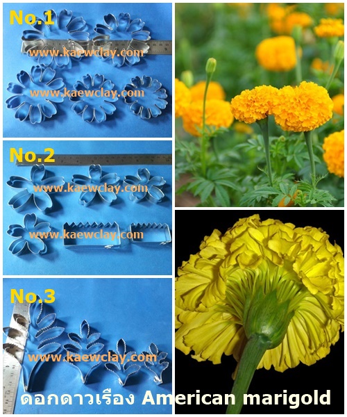 พิมพ์อลูมิเนียมตัดดอกดาวเรือง+ใบ แบบรวมกลีบ(Aluminum mold cutter Marigolds+ leaves )