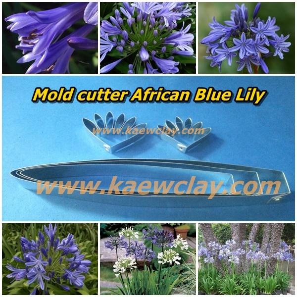 พิมพ์ตัดอลูมิเนียมดอกแอฟริกันบลูลินลี่(Aluminum mold cutter African Blue Lily + leaves )