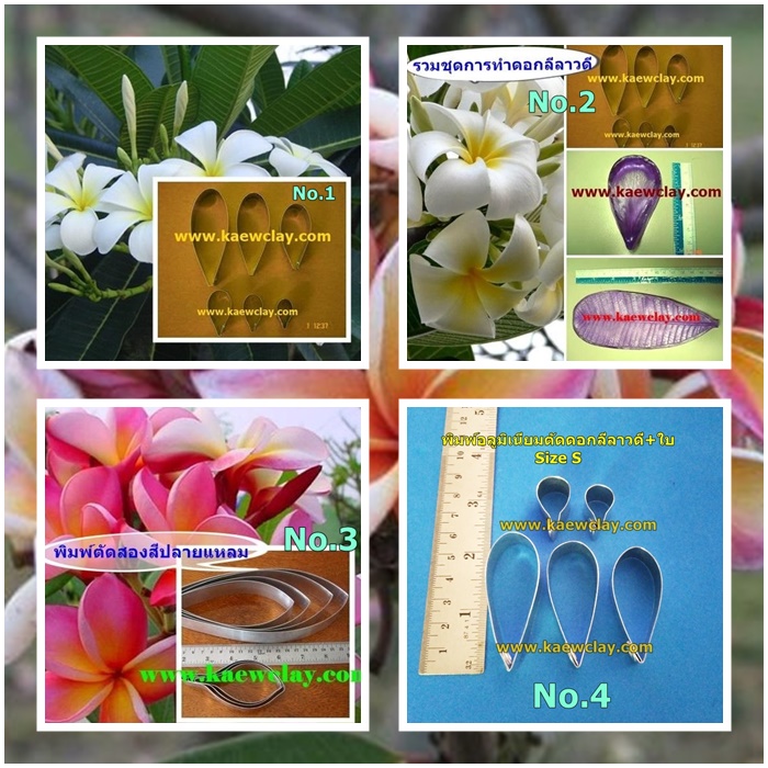 พิมพ์อลูมิเนียมตัดดอกลีลาวดี+ใบ (Aluminum mold cutter LEELAWADEE(Frangipani)+ leaves )