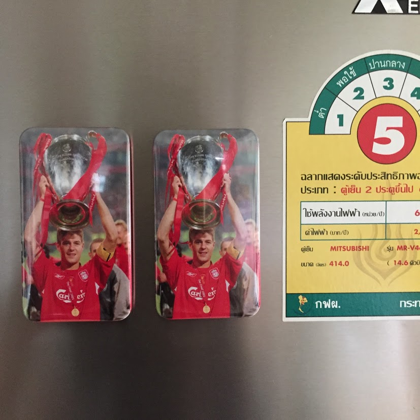 เเมกเนตสี่เหลี่ยมขนาด 5x9ซม