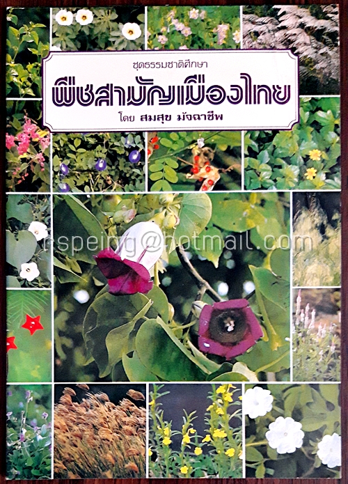 พีชสามัญเมืองไทย