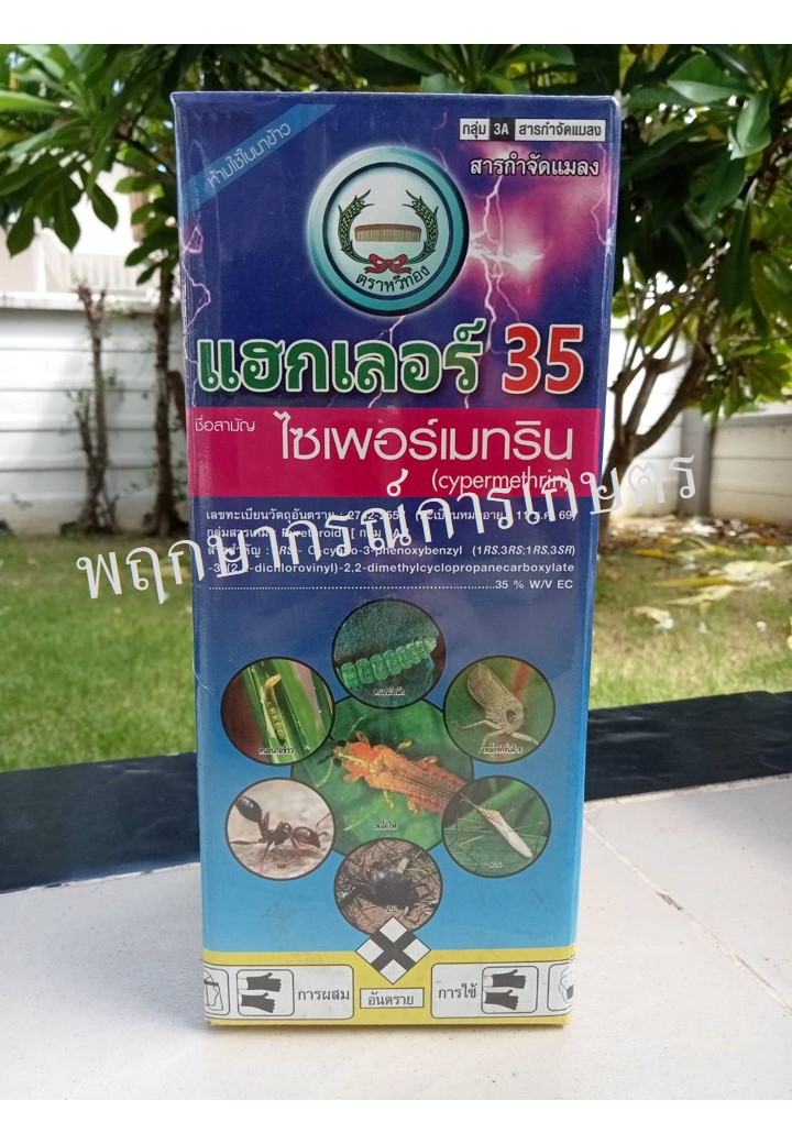 แฮกเลอร์ 35
