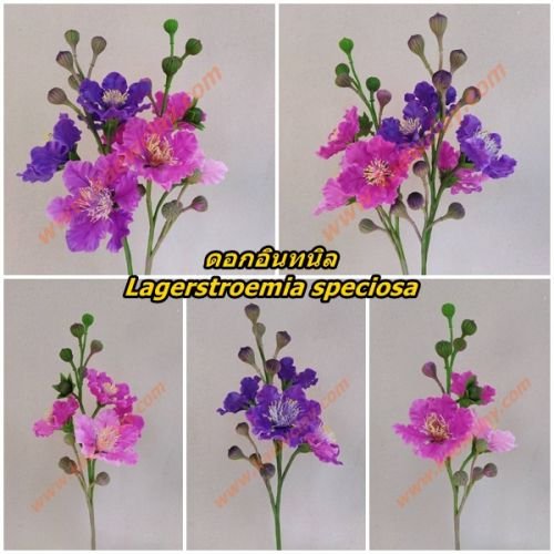 พิมพ์ตัดอลูมิเนียมดอกอินทนิล(Aluminum mold cutter Lagerstroemia speciosa )