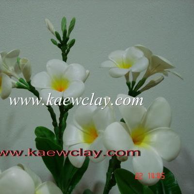 พิมพ์อัดลายดอกลีลาวดี (Veiners Retreading Plumeria)