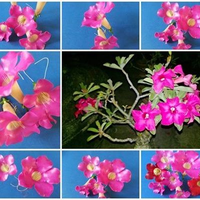 พิมพ์ตัดดอก+ใบชวนชม(Aluminum mold cutter Desert Rose; Impala Lily; Mock Azalea.)