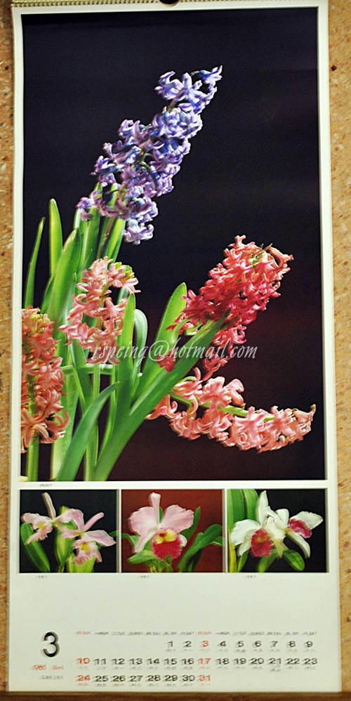 ปฏิทินแขวน ภาพไม้ดอกจาก Hong Kong 1985 (2527)