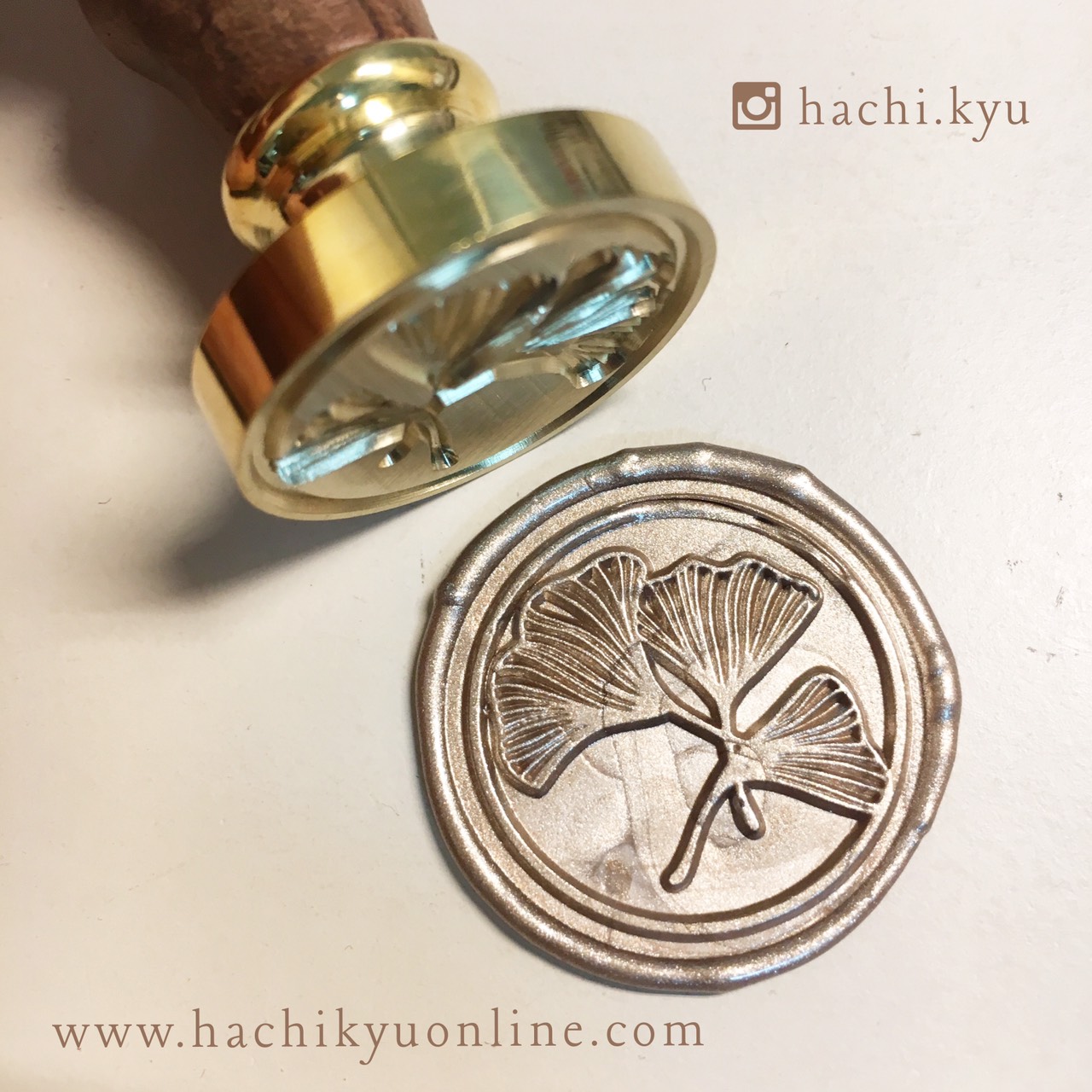 Gingko "ใบแปะก๊วย"