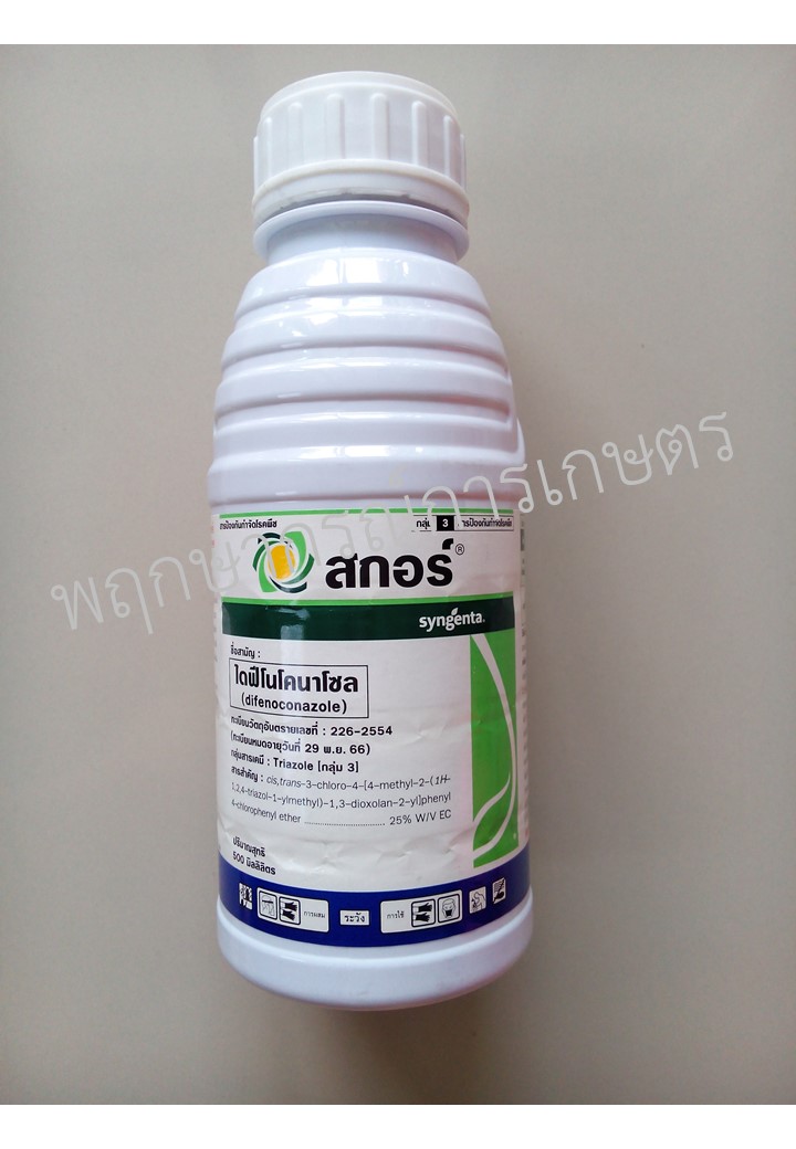 สกอร์ 500 ซีซี