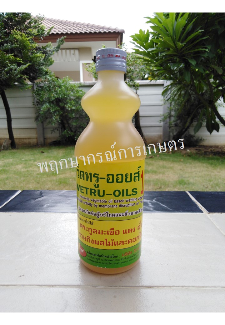 เว็ตทรู-ออยส์ 500 ซีซี