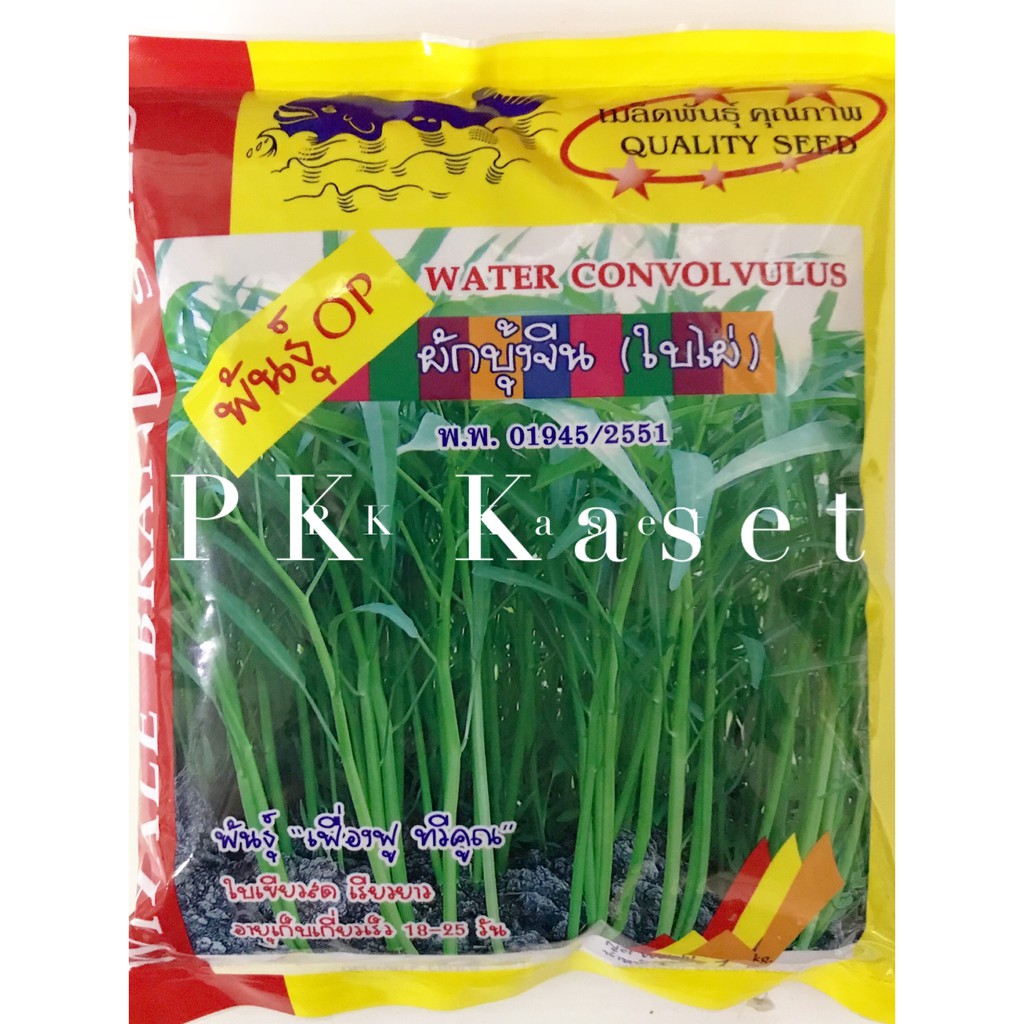 เมล็ดผักบุ้ง เฟื่องฟู ทวีคูณ 1 kg ผักบุ้ง ปลาวาฬ ใบเขียวสด เรียวยาว **สินค้าหมดอายุ 06-2568**