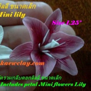 พิมพ์ตัดอลูมิเนียมดอก+ใบลิลลี่จิ๋วรวมกลีบ(Aluminum mold cutter Mini Lily included petals)