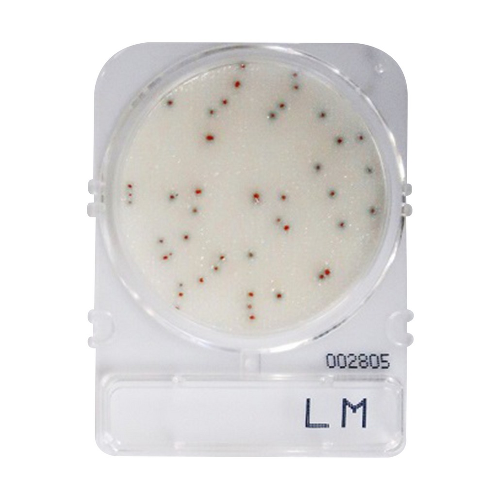 Compact Dry LM (สำหรับตรวจ Listeria monocytogenes)