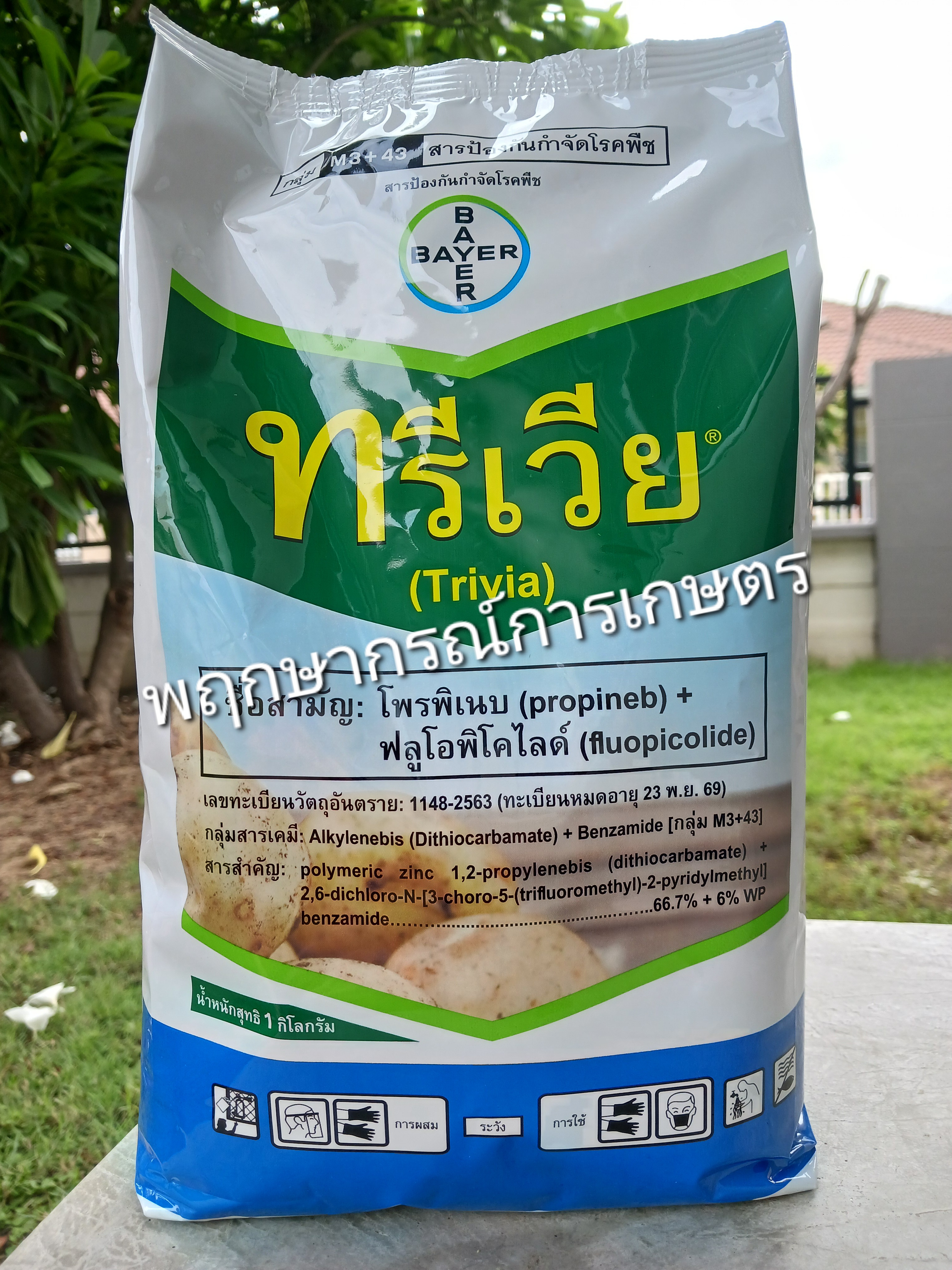 ทรีเวีย 1 กิโลกรัม