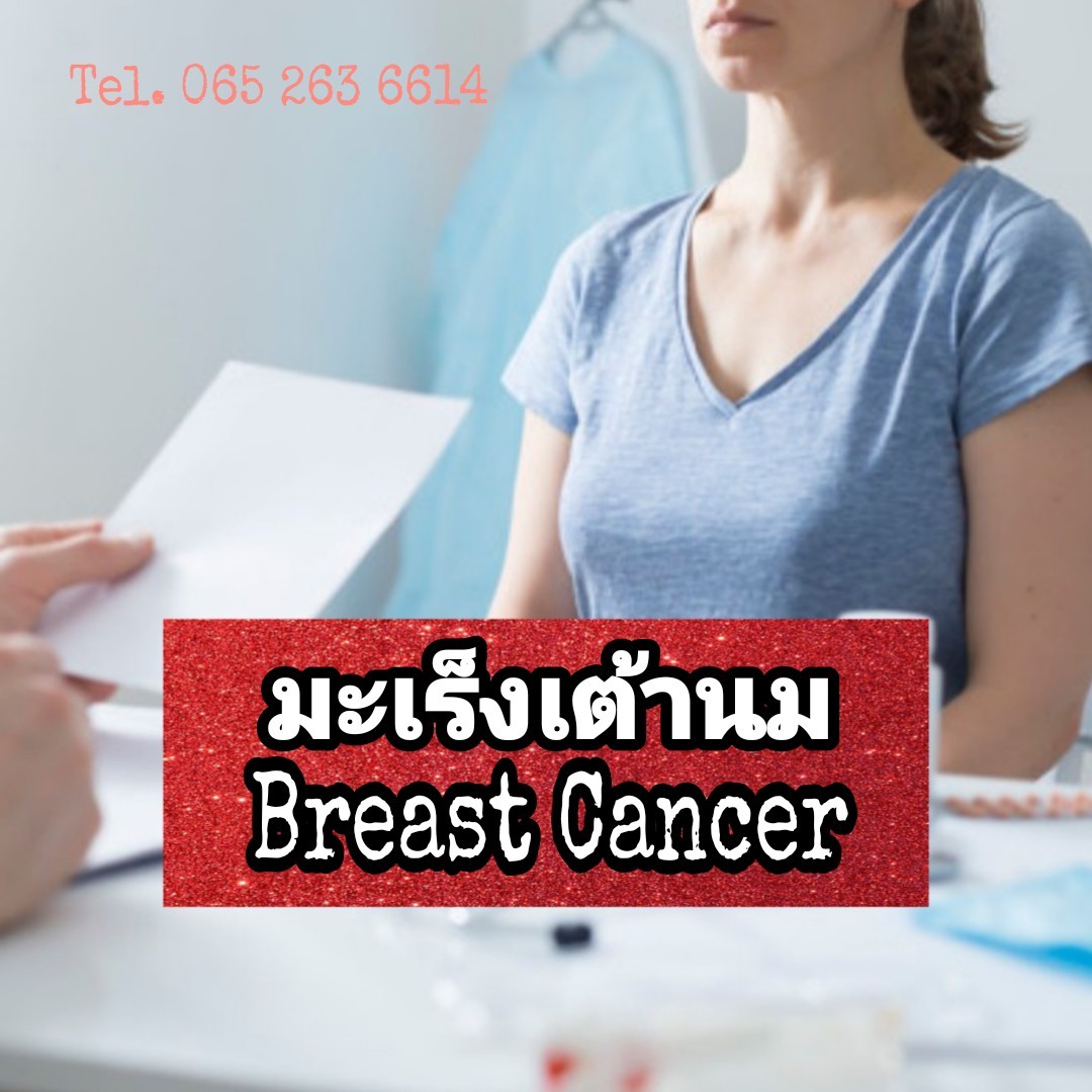 พอลลิติน pollitin เซอร์นิติน มีส่วนช่วยผู้ป่วยมะเร็งเต้านมที่ทำการรักษาทางการแพทย์ ทำคีโม ฉายแสง ผ่าตัด แล้วแผลจากการักษาจะปวดและหายช้า พอลลิตินมีส่วนช่วยให้แผลแห้งเร็วขึ้นและไม่ปวดแผลช่วยให้การรักษาดีขึ้น