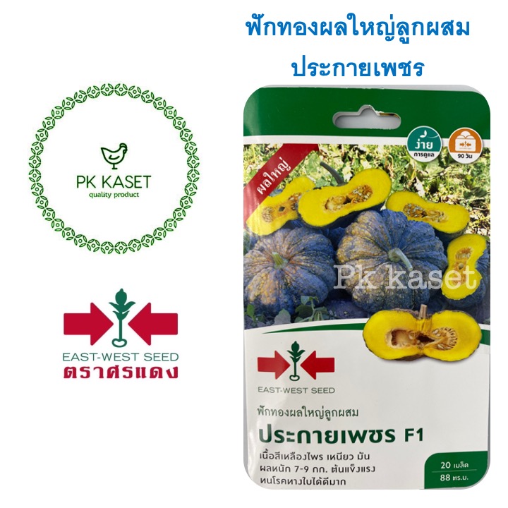 เมล็ดฟักทองผลใหญ่ลูกผสม ประกายเพชร F1 ตราศรแดง ซองแข็ง 20 เมล็ด ผักสวนครัว