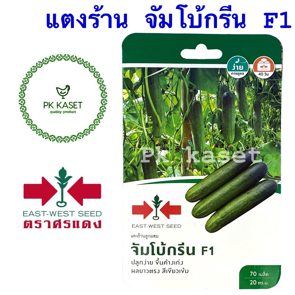 เมล็ดแตงร้าน จัมโบ้กรีน F1 ศรแดง ซองแข็ง 70 เมล็ด ผักสวนครัว