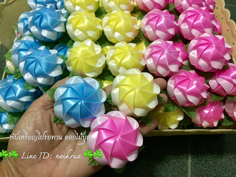 ดอกมะลิทูโทนสีฟ้า เหลือง ชมพู