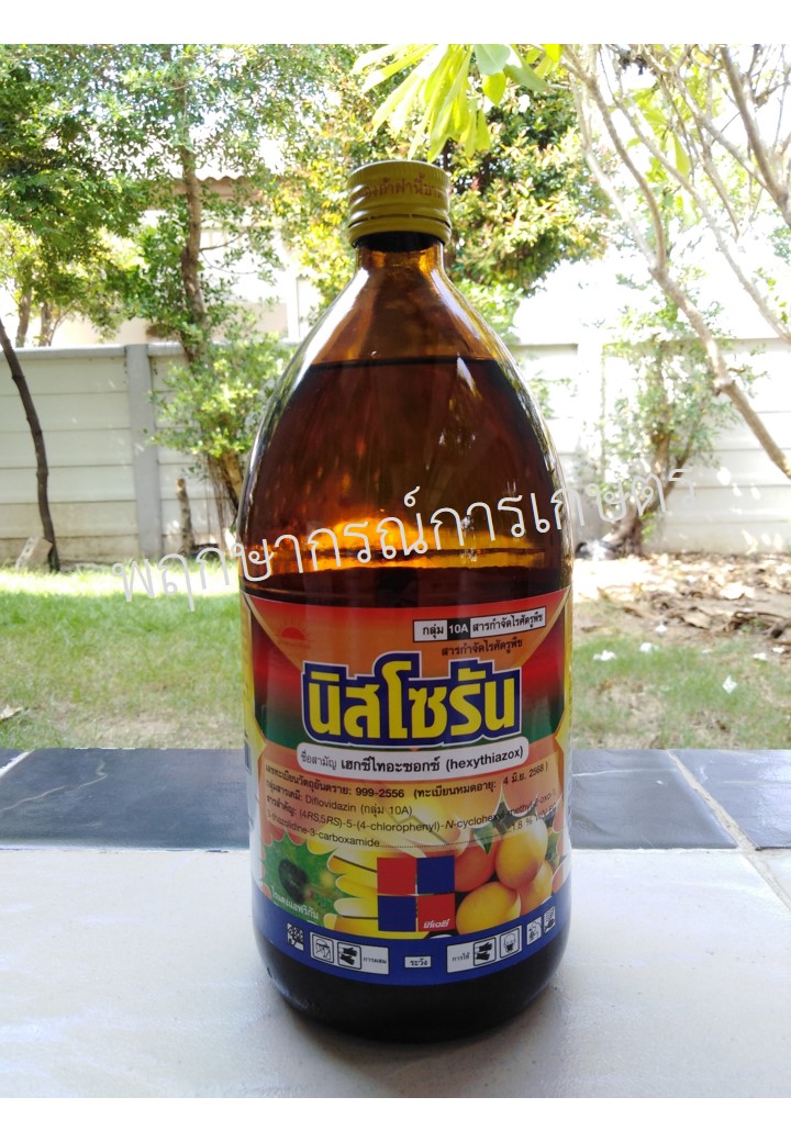 นิสโซรัน
