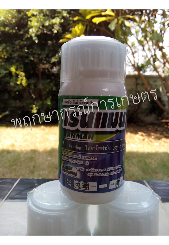 เรนแมน 250 ซีซี