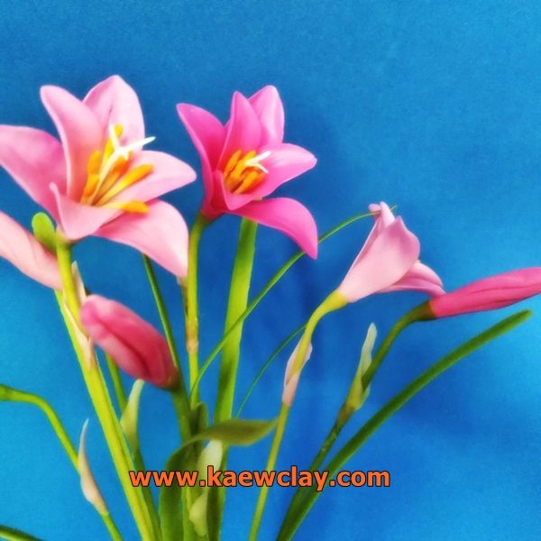 พิมพ์อลูมิเนียมตัดดอกบัวดิน (Aluminum mold cutter FAIRY LILY)