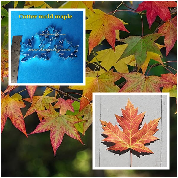 พิมพ์ตัดใบเมเเบิ้ล(Cutter mold maple)