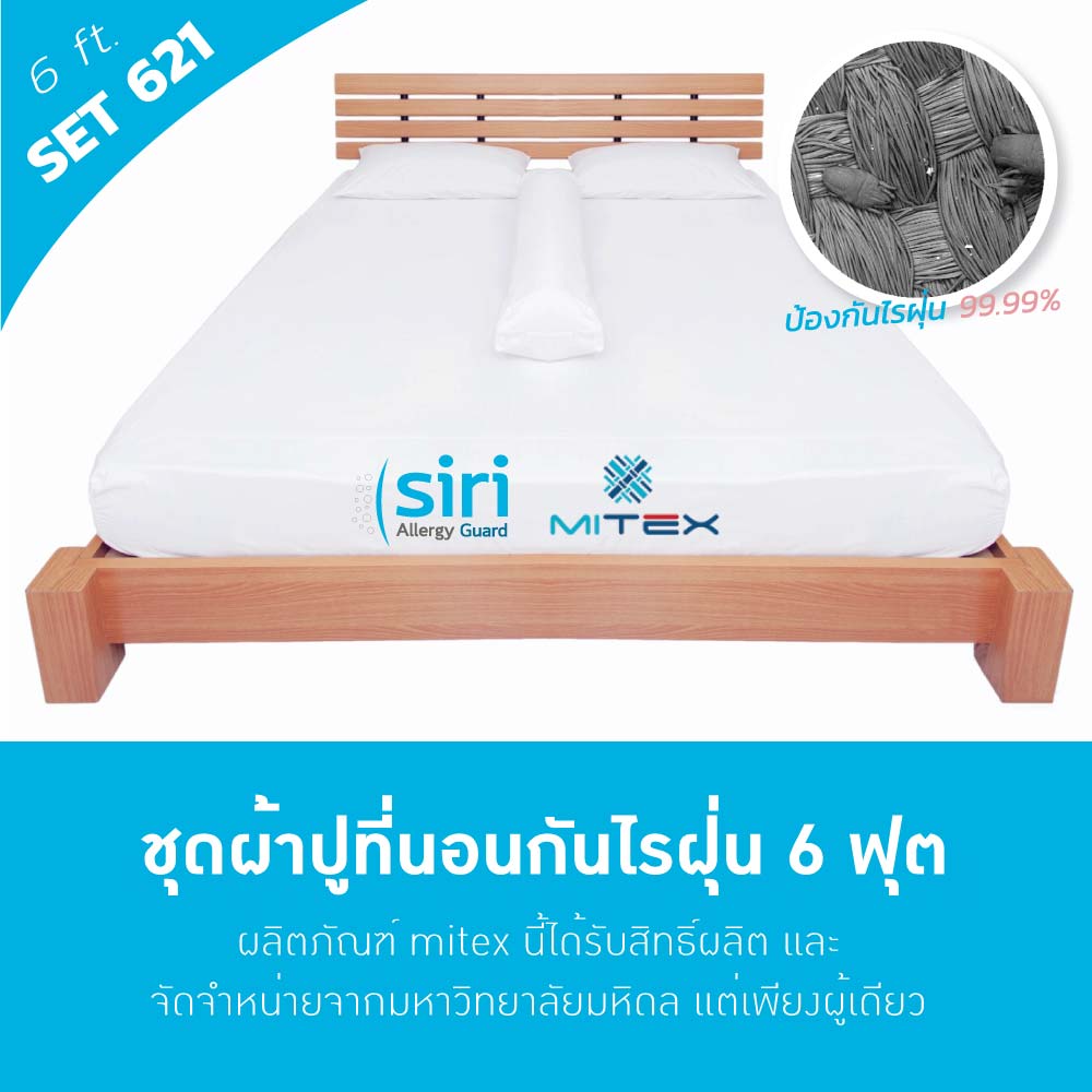 ผ้าปูที่นอนกันไรฝุ่น 6 ฟุต(621) Medium Set