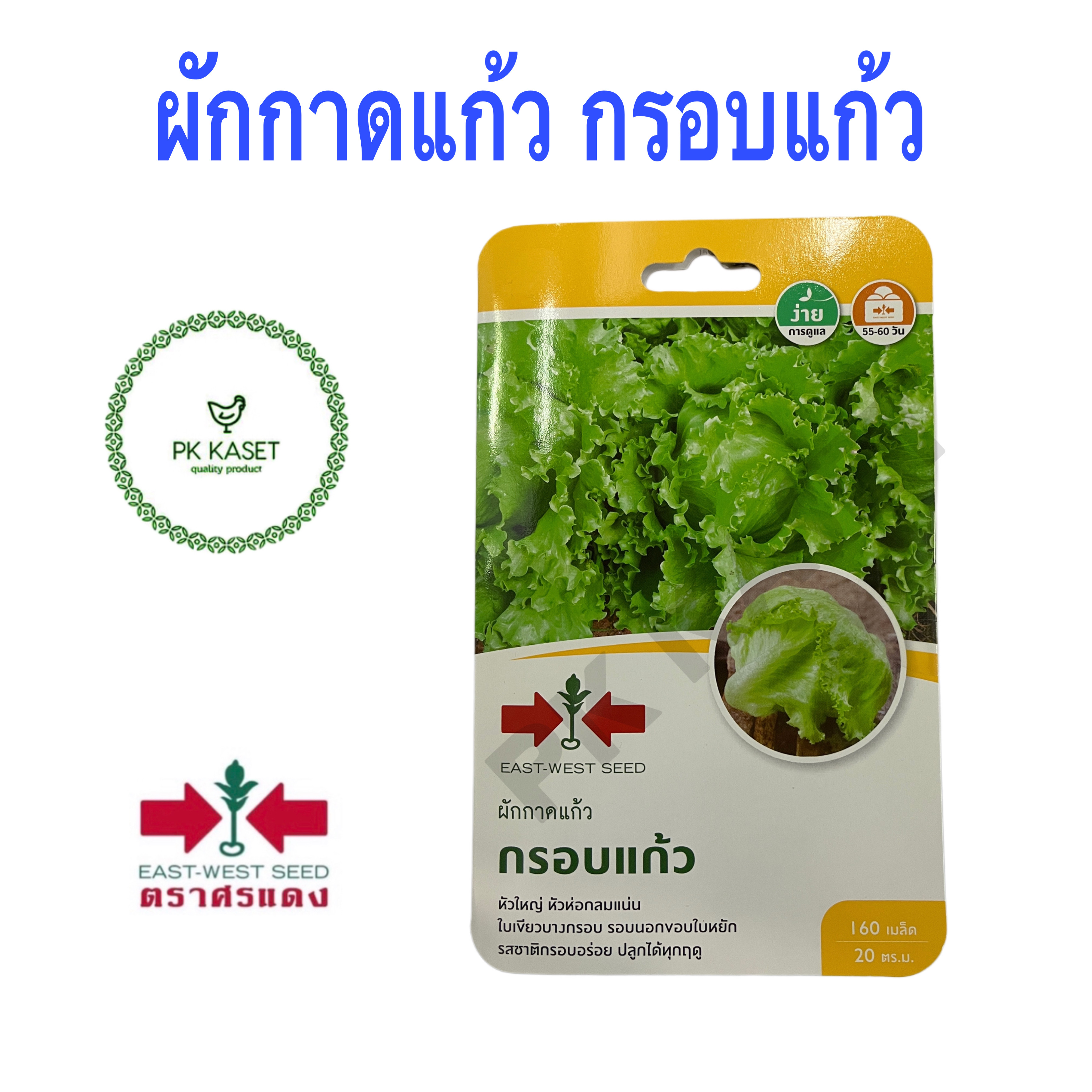 เมล็ดผักกาดแก้ว กรอบแก้ว ศรแดง ซองแข็ง 160 เมล็ด ผักสวนครัว