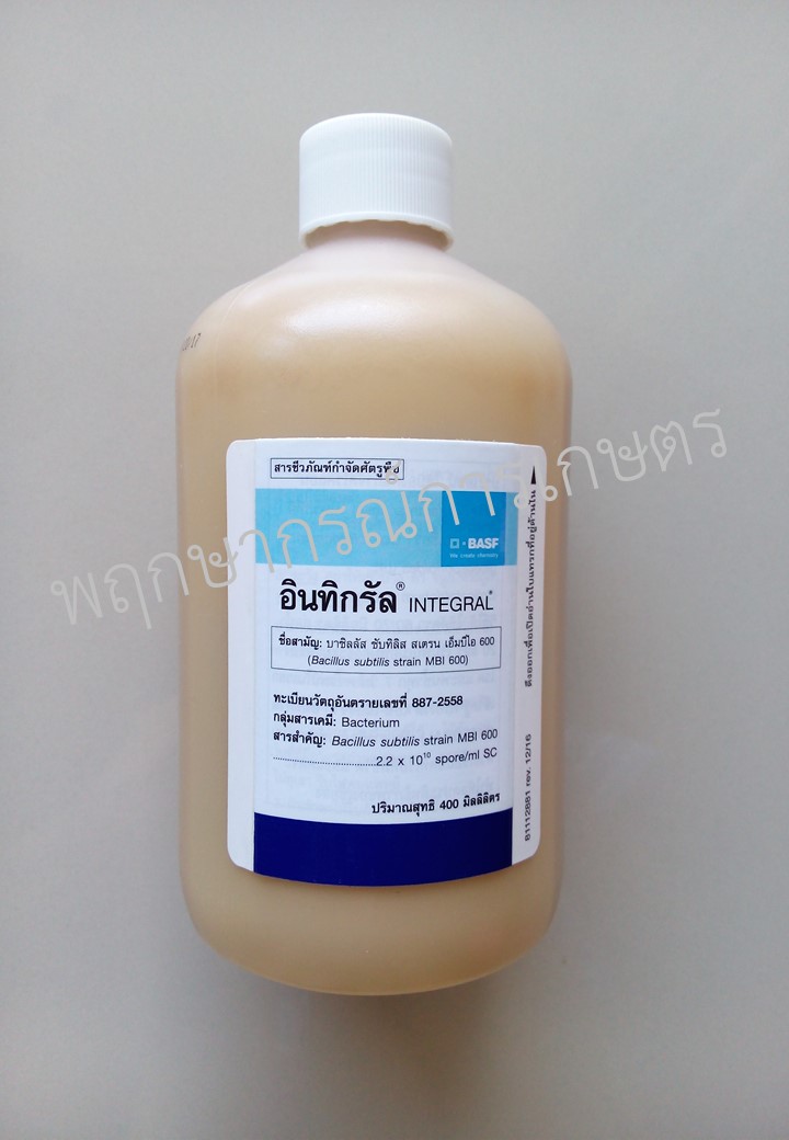 อินทิกรัล