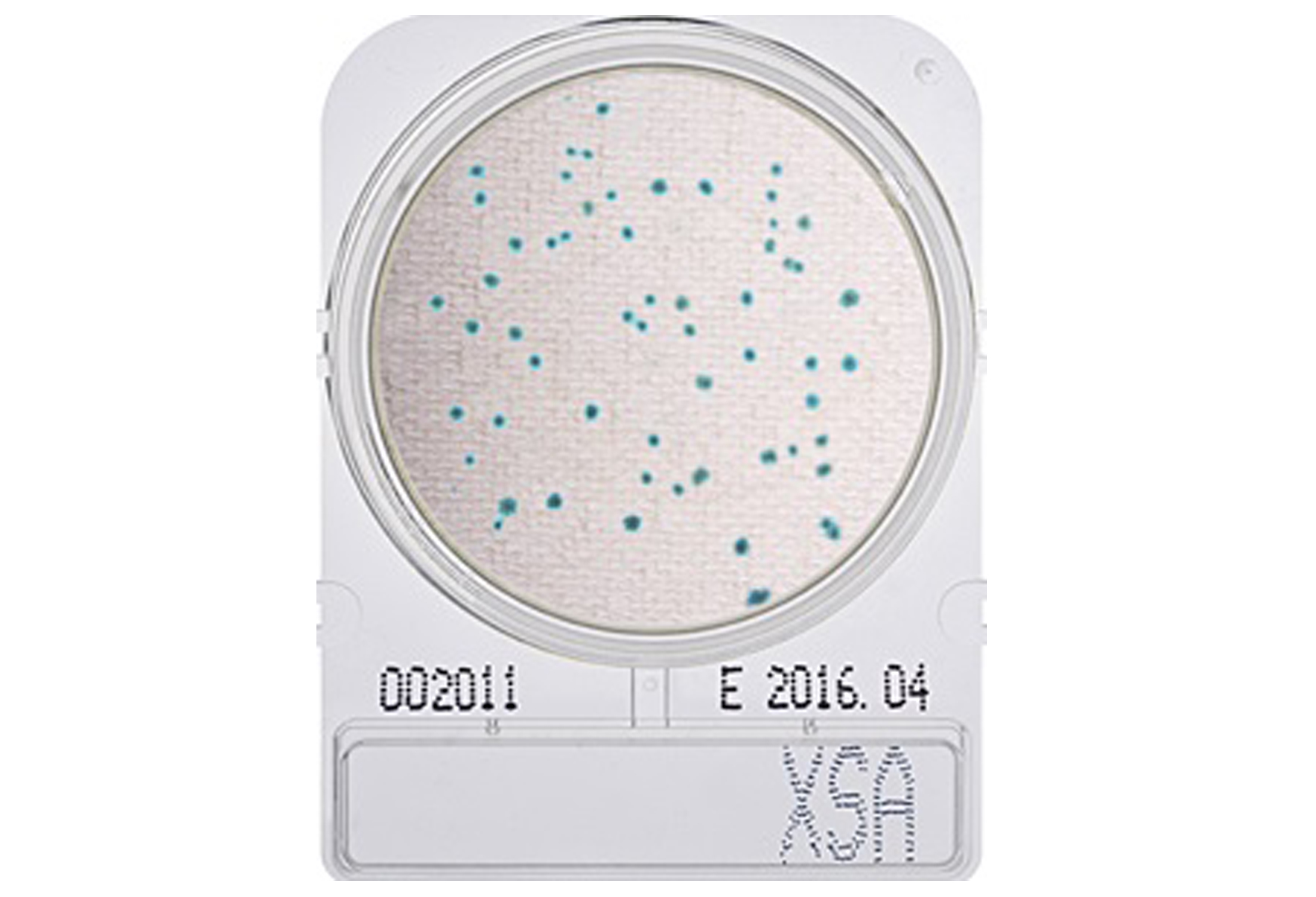 Compact Dry X-SA (สำหรับตรวจ S.aureus)