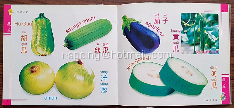 หนังสือเรียนรู้ภาษาจีนด้วยภาพสำหรับเด็ก หมวดผักและผลไม้ 识蔬菜水果