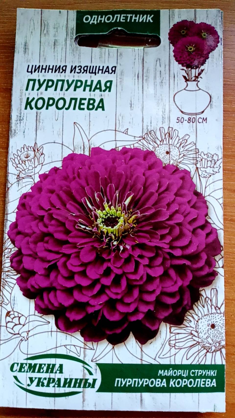 บานชื่น (Zinnia) สีม่วง ซ้อน พันธุ์เตี้ย / ซอง 70 เม็ด (Ukraine)*