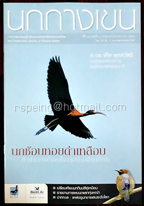 นกกางเขน ปีที่ 24 ฉบับที่ 3 กรกฏาคม-กันยายน พ.ศ.2550