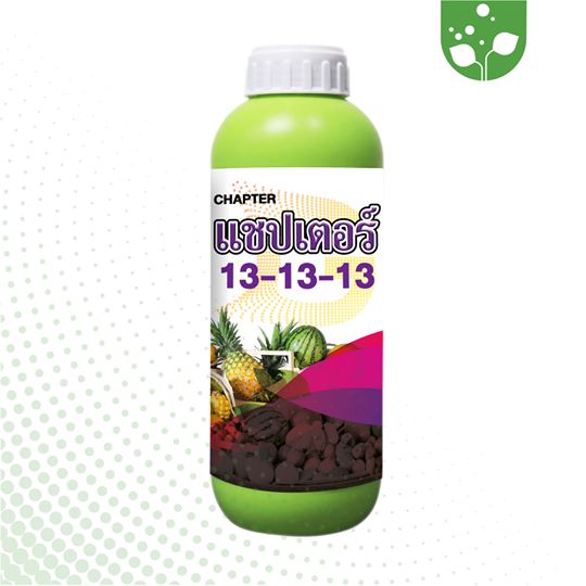 แชปเตอร์ 13-13-13