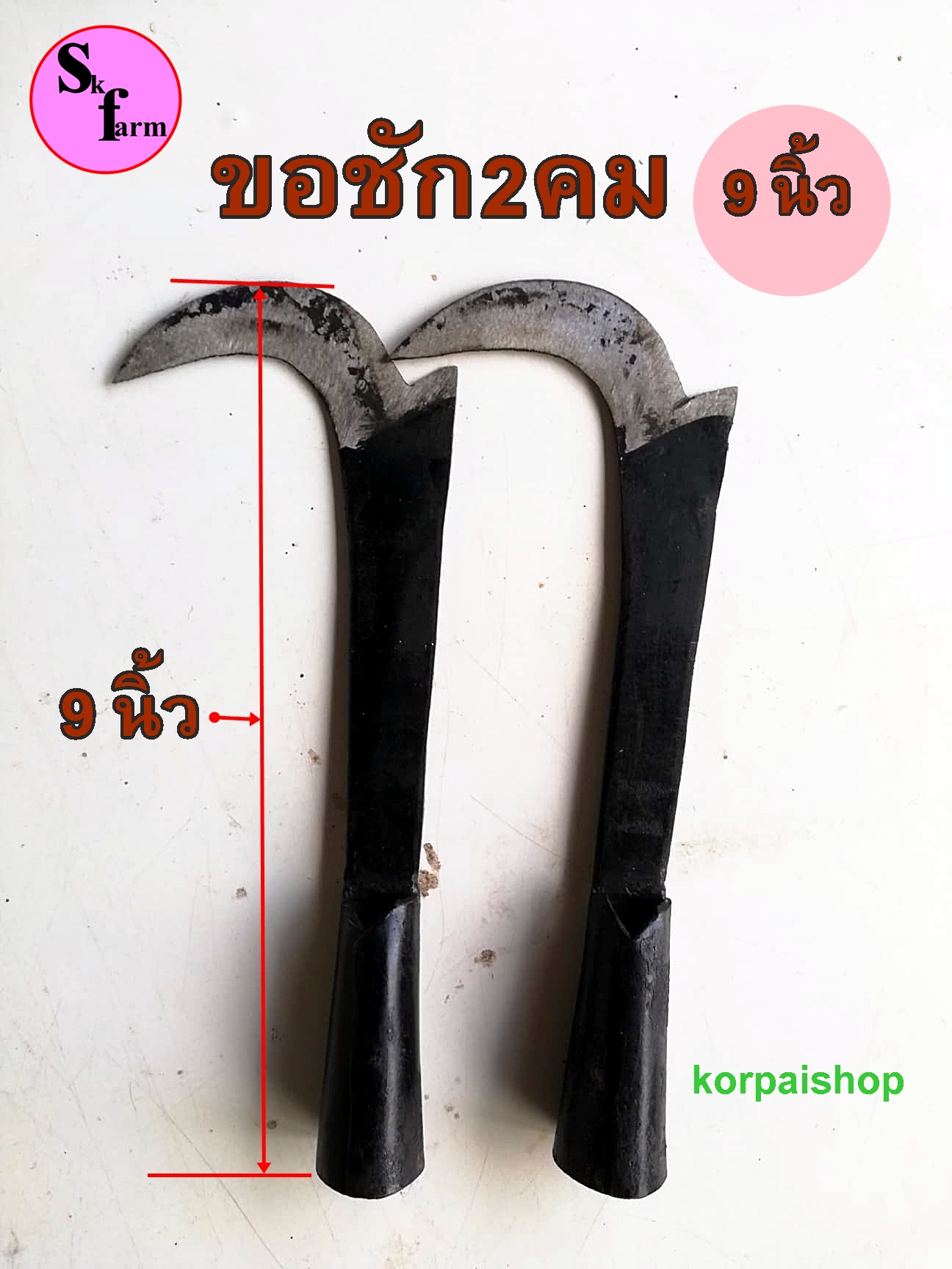 ขอชัก 2 คม ตะขอสอยมะพร้าว ตะขอเก็บมะพร้าว มีดสอยมะพร้าว มีขอเกี่ยวมะพร้าว ขอสอยมะพร้าว ขนาด 9 นิ้ว สำเนา