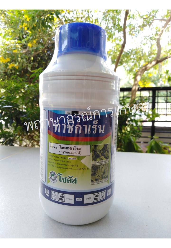 ทาชิกาเร็น 500 ซีซี