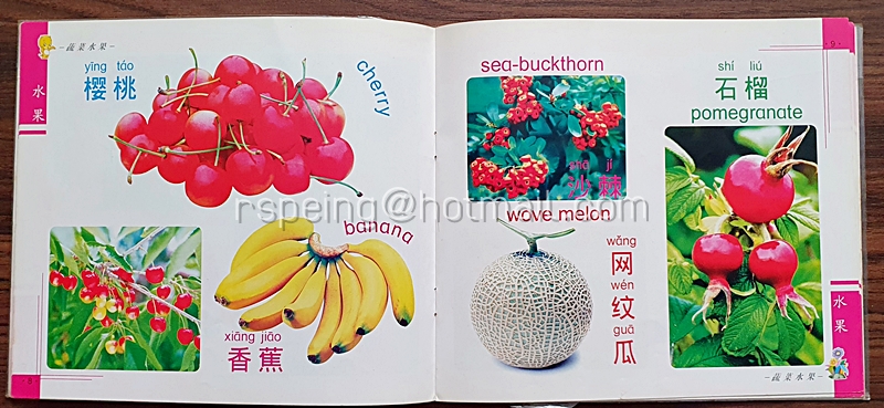 หนังสือเรียนรู้ภาษาจีนด้วยภาพสำหรับเด็ก หมวดผักและผลไม้ 识蔬菜水果