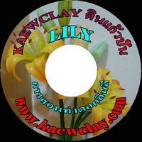 DVD หรือ Link Online การสอนทำดอกลินลี่ (DVD How to make Lily with KAEWCLAY)