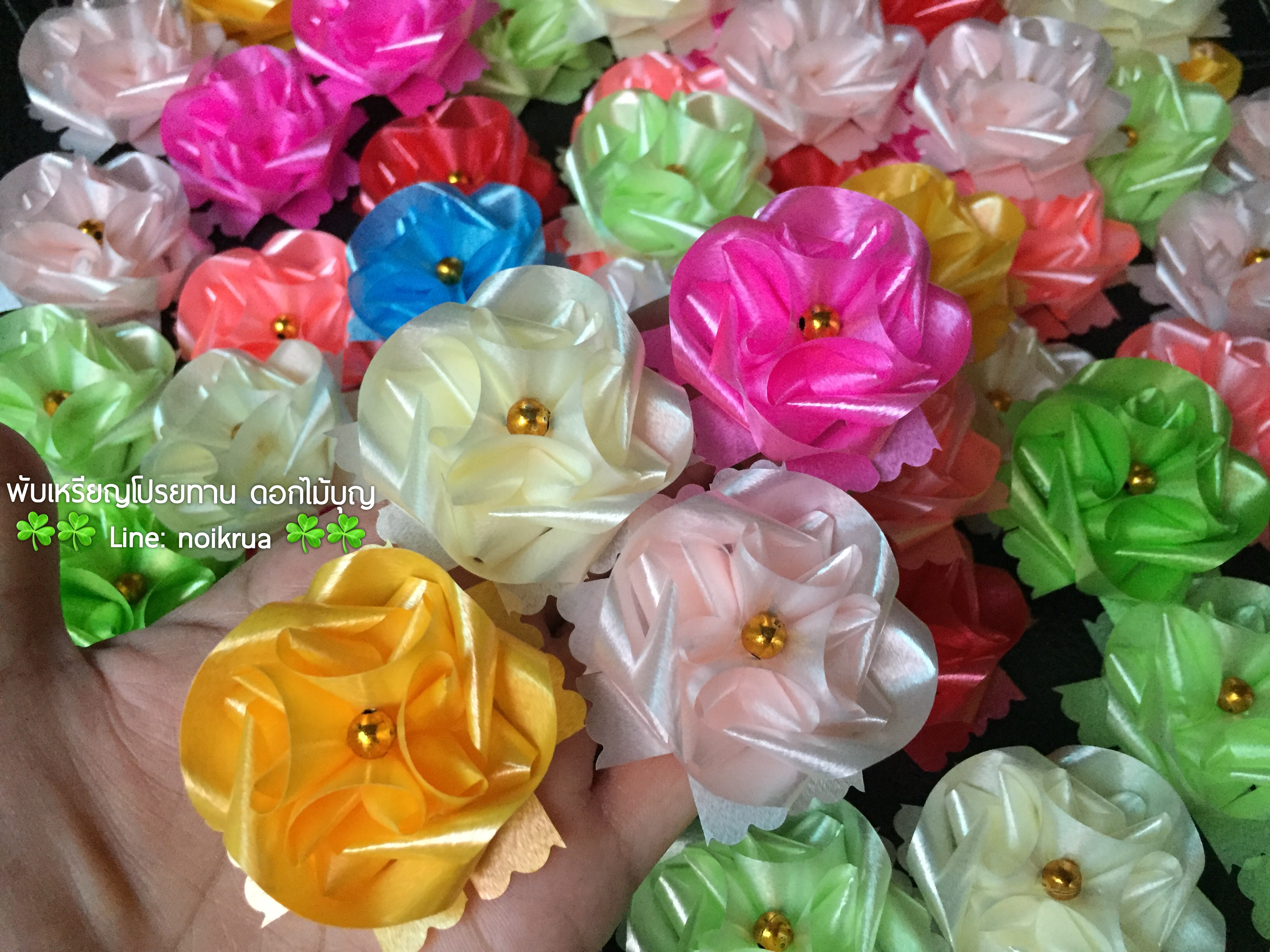 ดอกแพงพวยเหรียญโปรยทาน