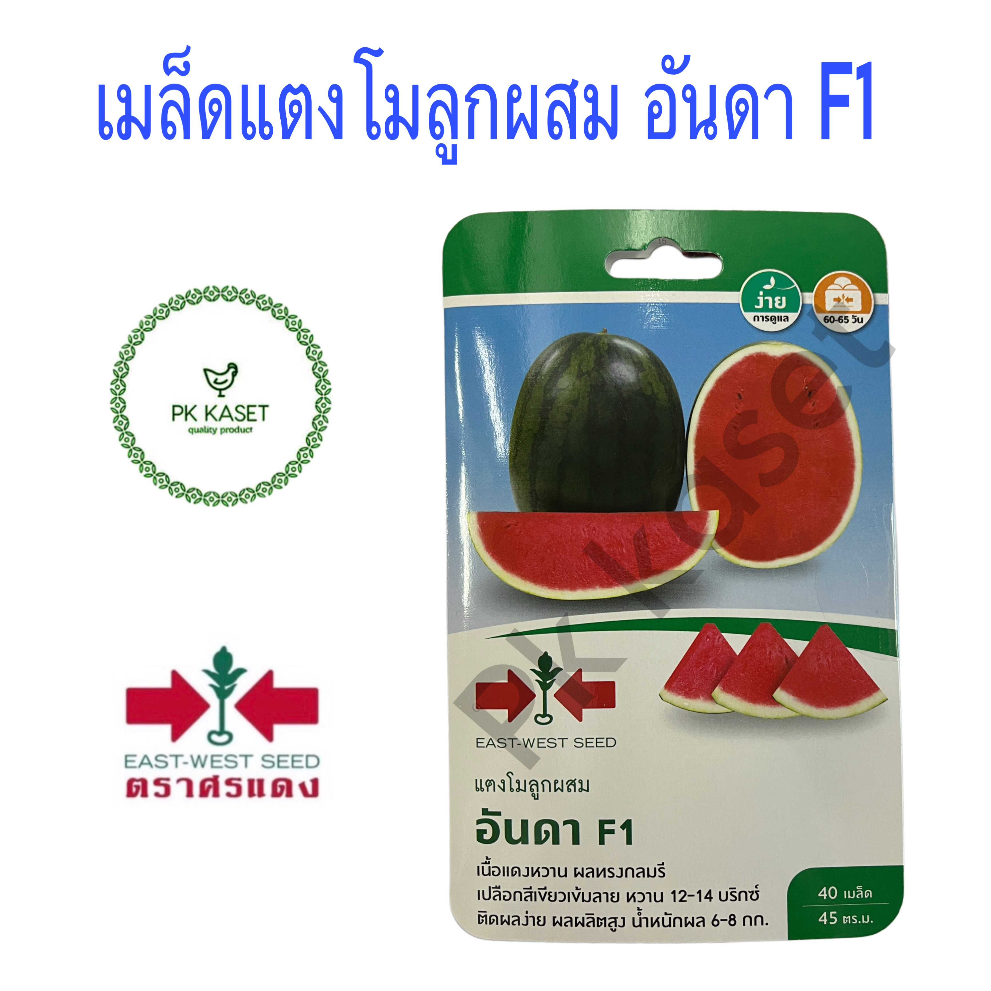 เมล็ดแตงโม อันดา F1 ศรแดง ซองแข็ง 40 เมล็ด ผักสวนครัว