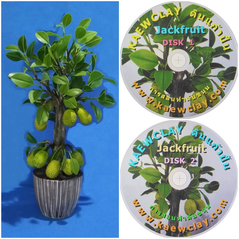DVD การสอนทำต้นขนุน หรือ Link Online (DVD How to make Jackfruit with KAEWCLAY)