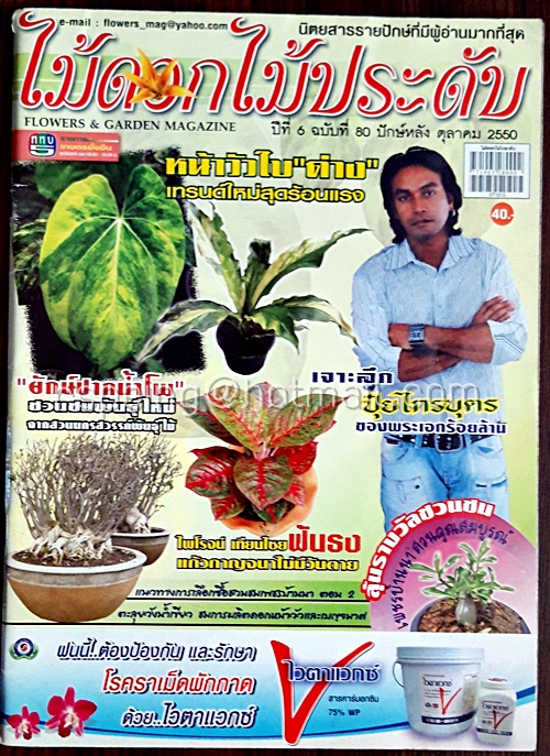 ไม้ดอกไม้ประดับ ปีที่ 6 ฉบับที่ 80 ปักษ์หลัง ตุลาคม 2550